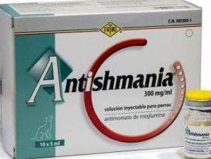 Antishmania