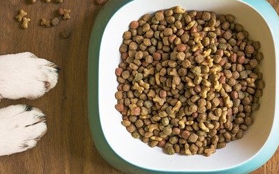 Hundefutter